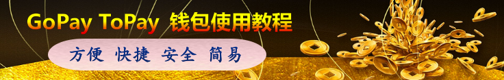 GoPayToPay 充值教程